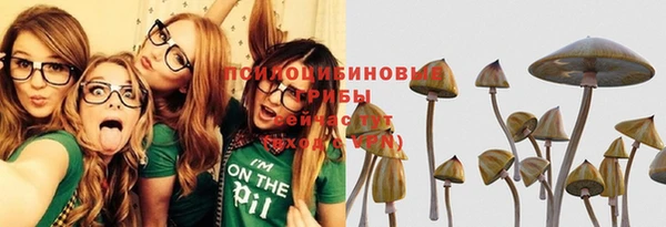 мяу мяу мука Покачи
