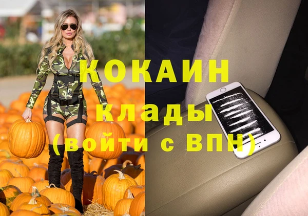 бошки Абаза