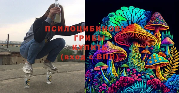 герыч Алзамай